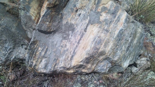 Гигантские зелёные валуны для ландшафтного дизайна весом более 5 тонн купить в Республике Калмыкия