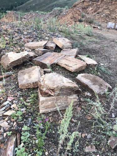 Плитняк кора дерева 50-100мм для пошаговых дорожек купить в Республике Калмыкия